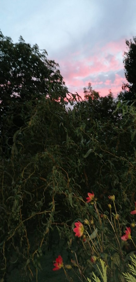 Dunkel waren die Wolken als das Abendrot sie brach