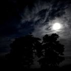 Dunkel war`s der Mond schien helle...