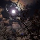 Dunkel wars, der Mond schien helle....