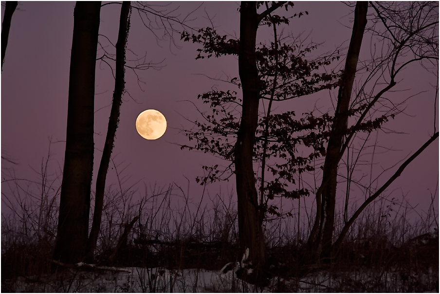 Dunkel war´s, der Mond schien helle....