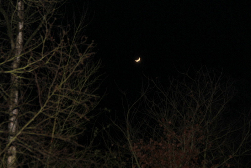 Dunkel war´s, der Mond schien helle.....