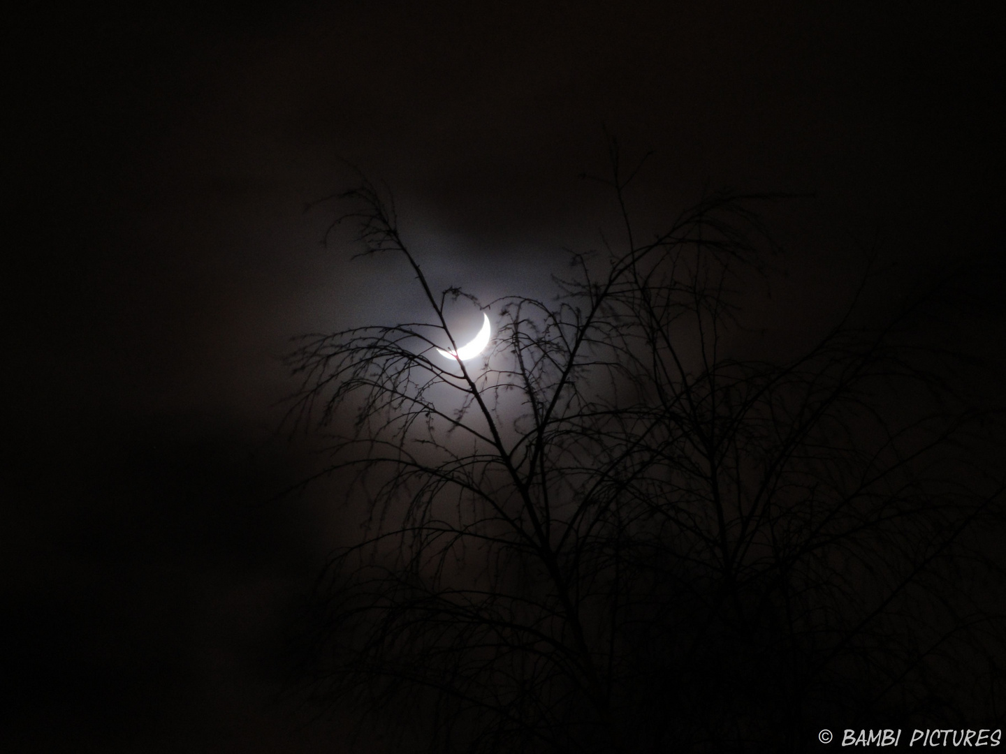 Dunkel war’s, der Mond schien helle...