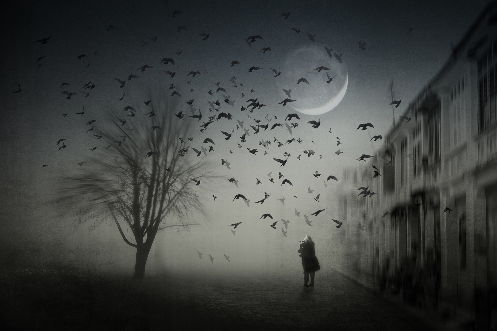 Dunkel war's, der Mond schien helle...... Foto & Bild composing, digiart, fantasy Bilder auf