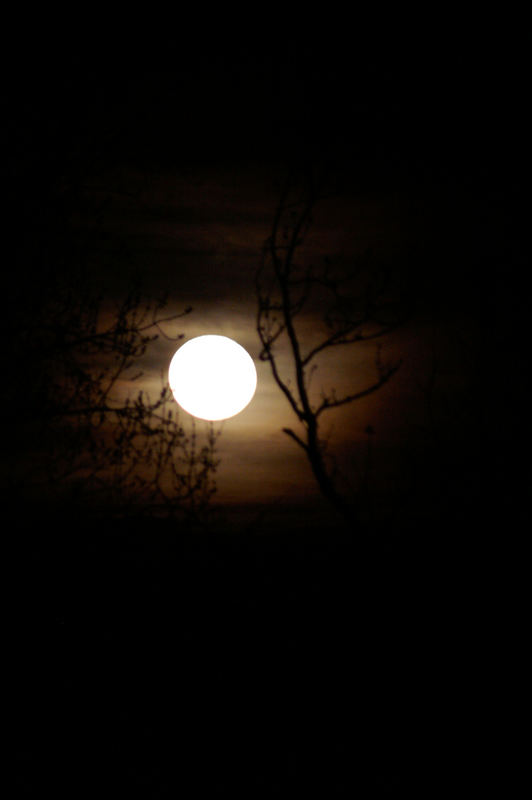 Dunkel wars der Mond schien helle..........