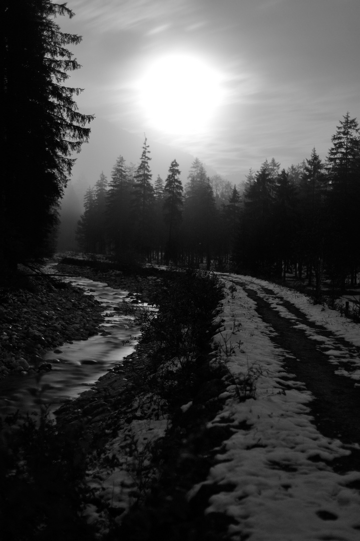 Dunkel war's, der Mond schien helle...