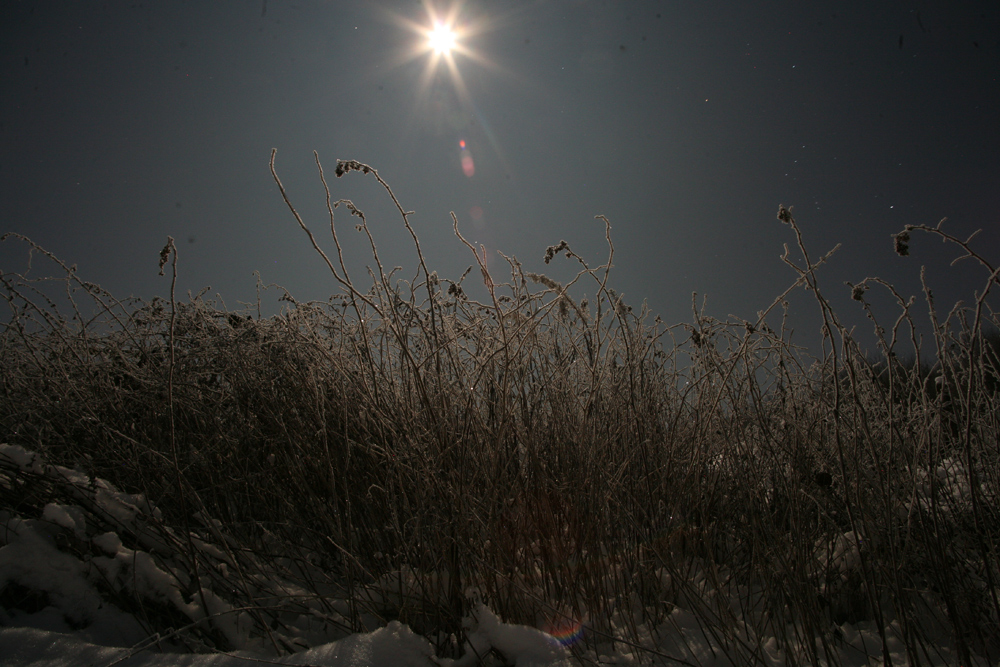 Dunkel war's und der Mond schien helle