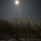 Dunkel war's und der Mond schien helle