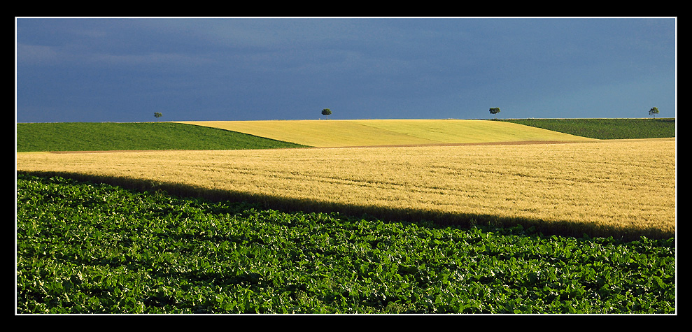 dunkelbunt