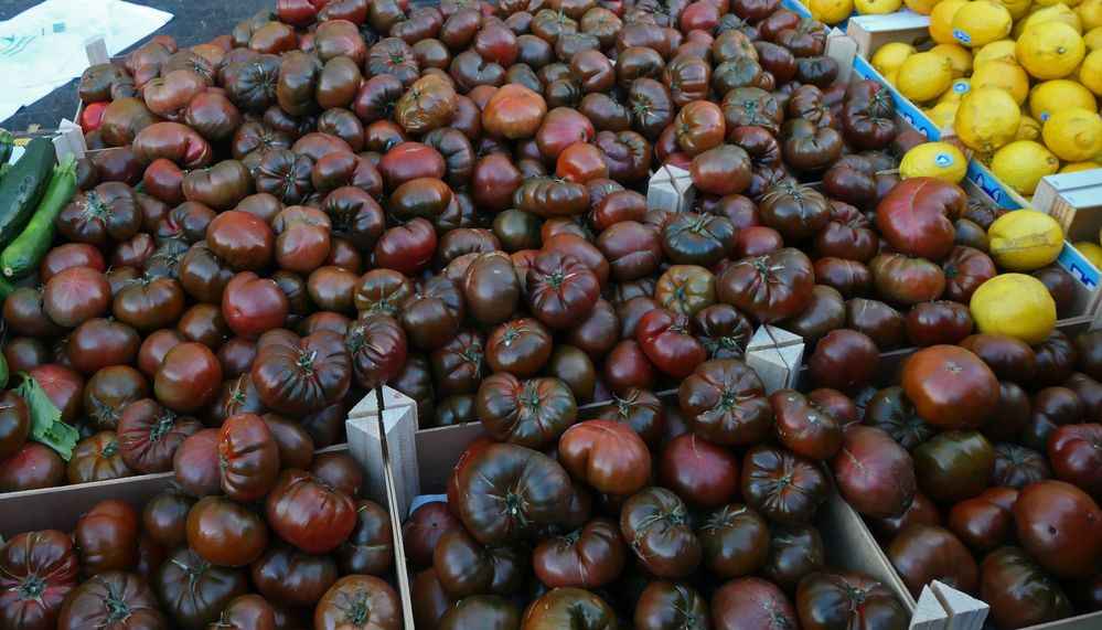 Dunkelhäutige Tomaten