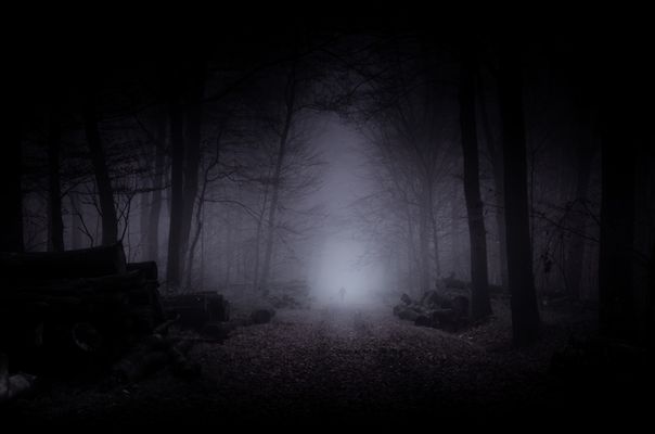 ...Dunkelwald