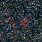 Dunkelwoken und Sterne um den Tulpennebel in Cygnus