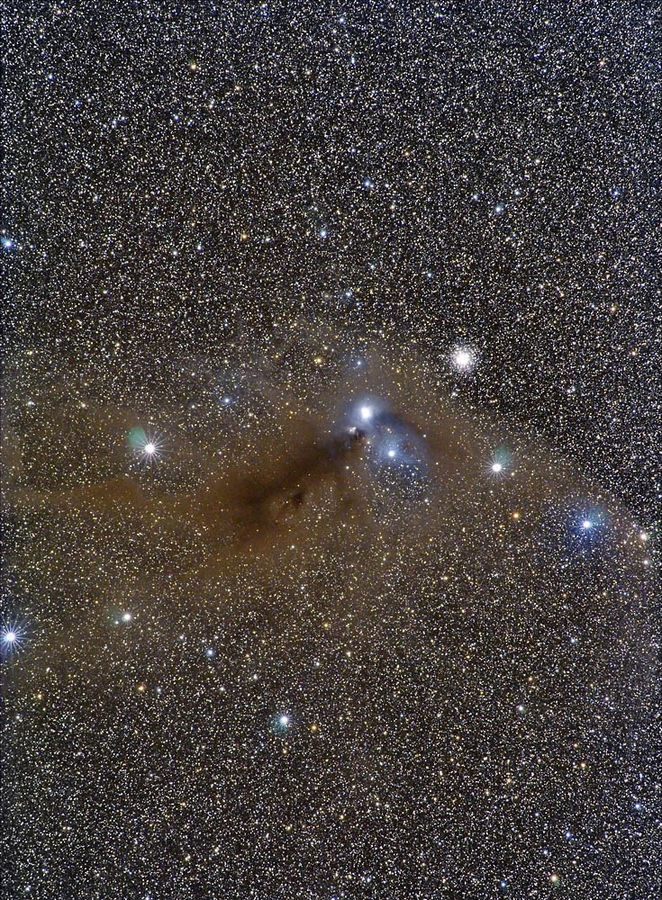 Dunkelwolken im Sternbild "Südliche Krone"