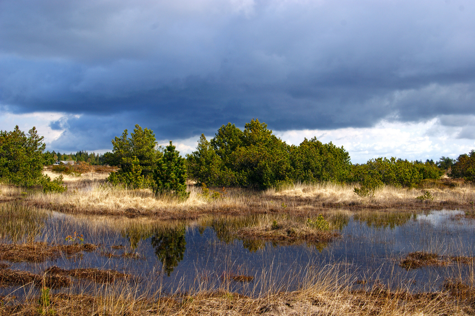 Dunkle, dänische Wolke