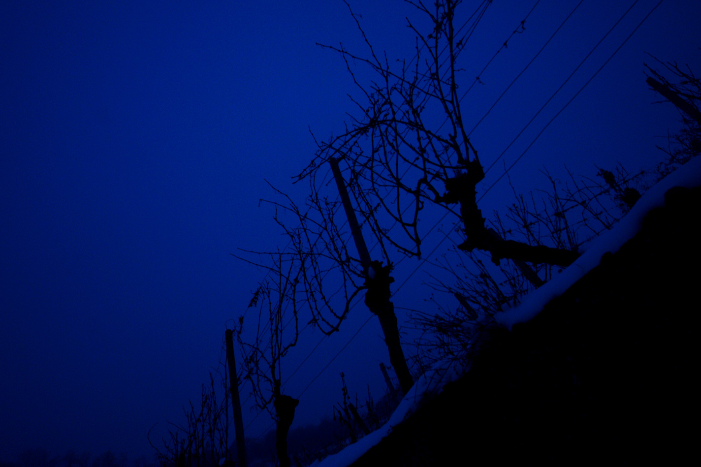 Dunkle Gestalten erwachen in der Winternacht