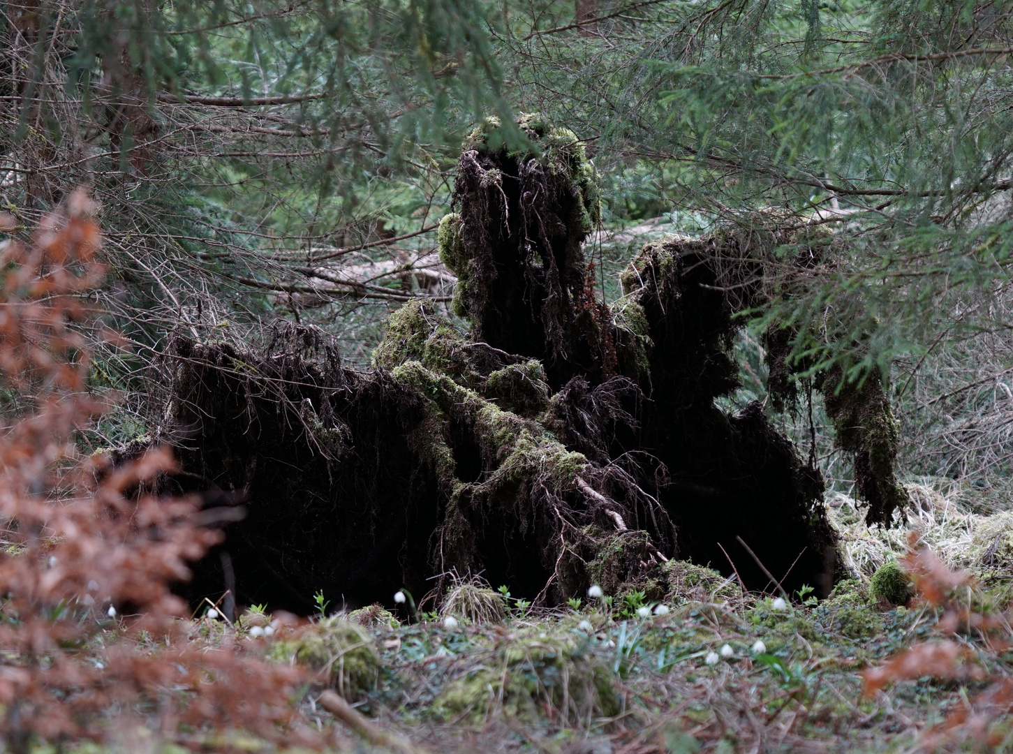 Dunkle Gestalten