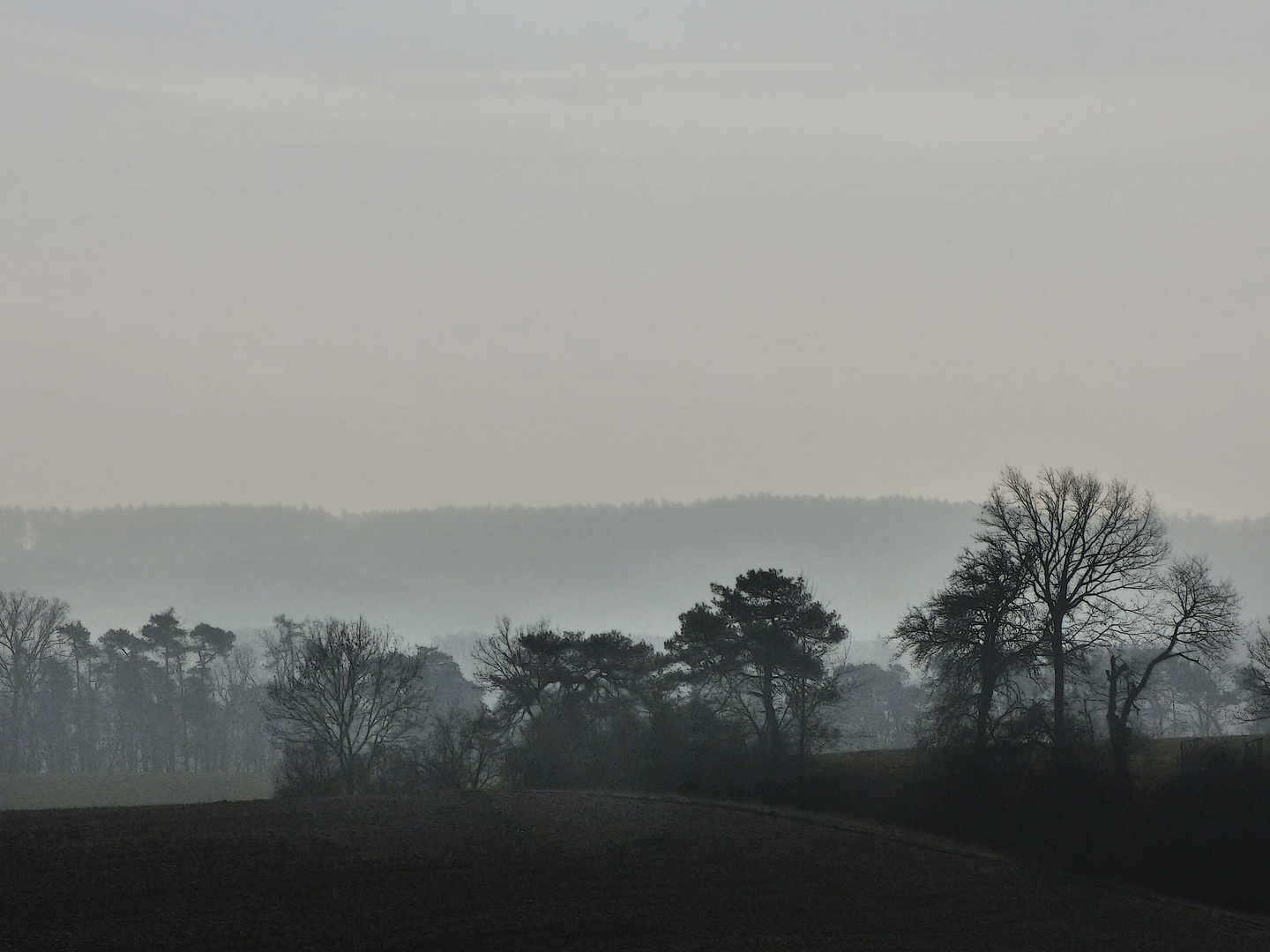 Dunkle Landschaft