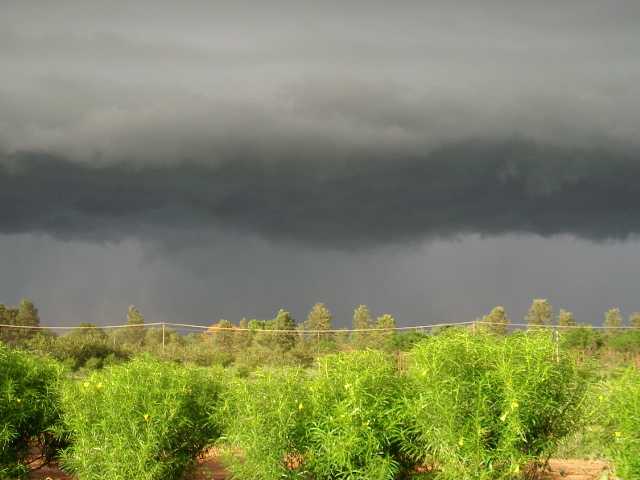 dunkle regenfront