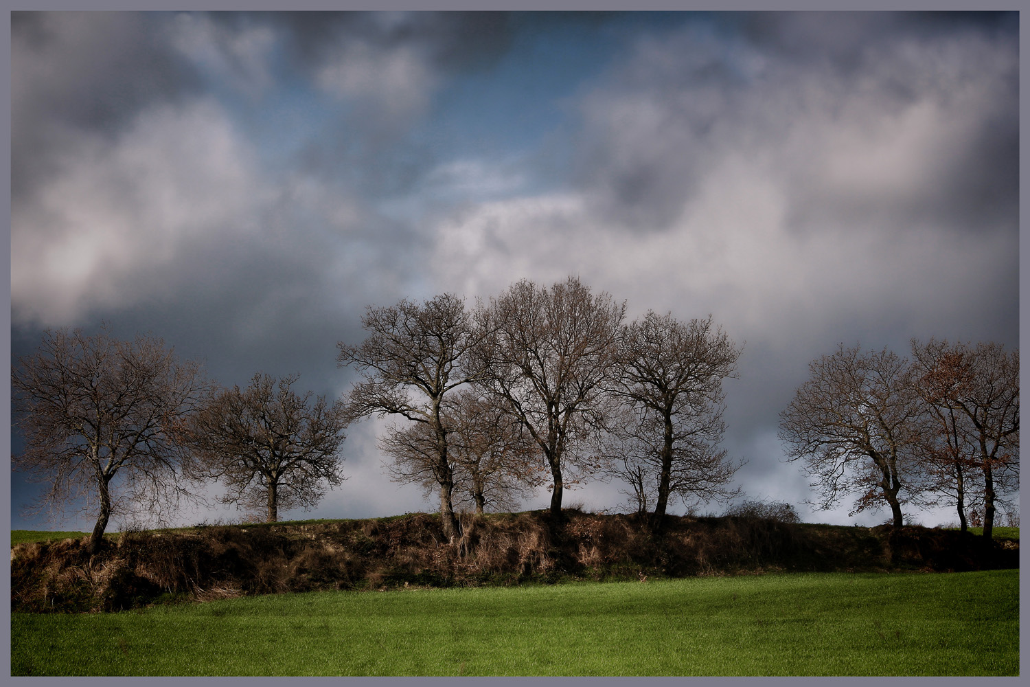 dunkle Regenwolken