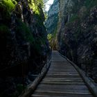 Dunkle Schlucht zu Sessel Schweige