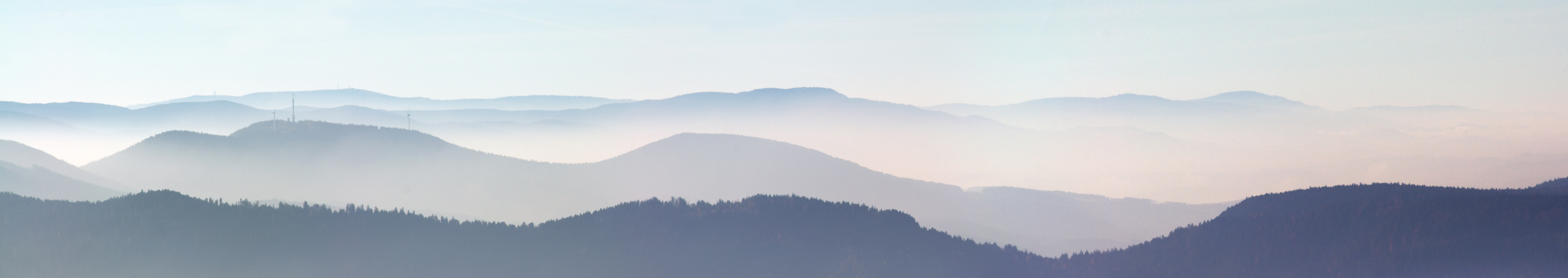 Dunkle Wälder, helle Matten...