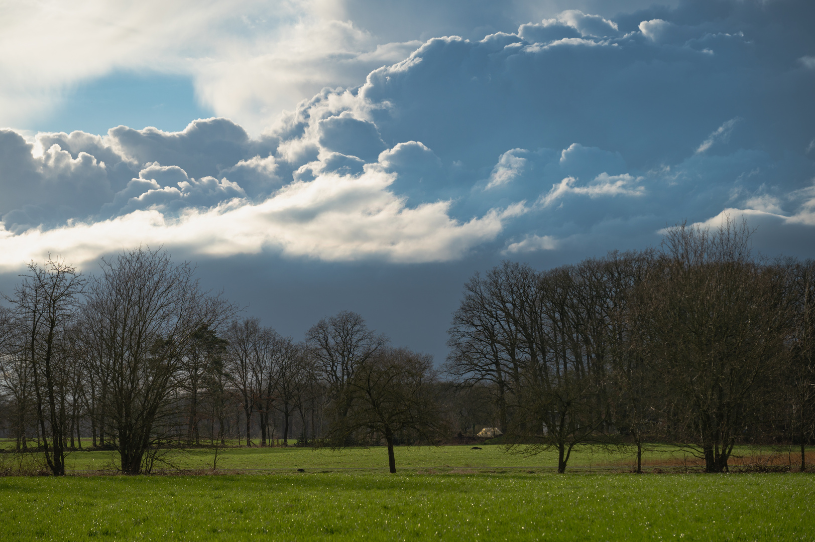 Dunkle Wolken....