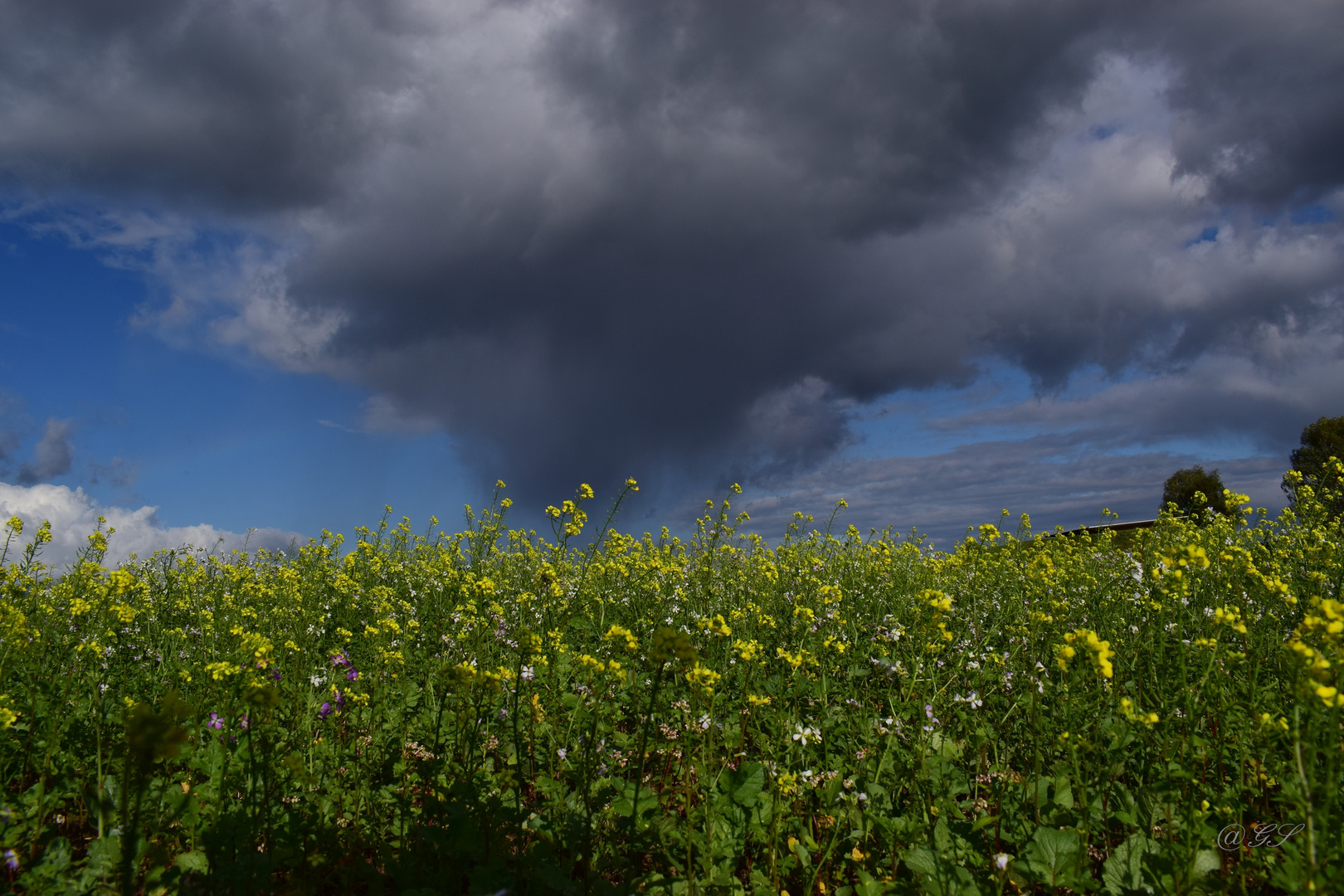 Dunkle Wolken