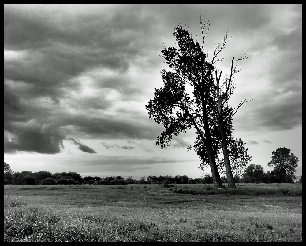 Dunkle Wolken