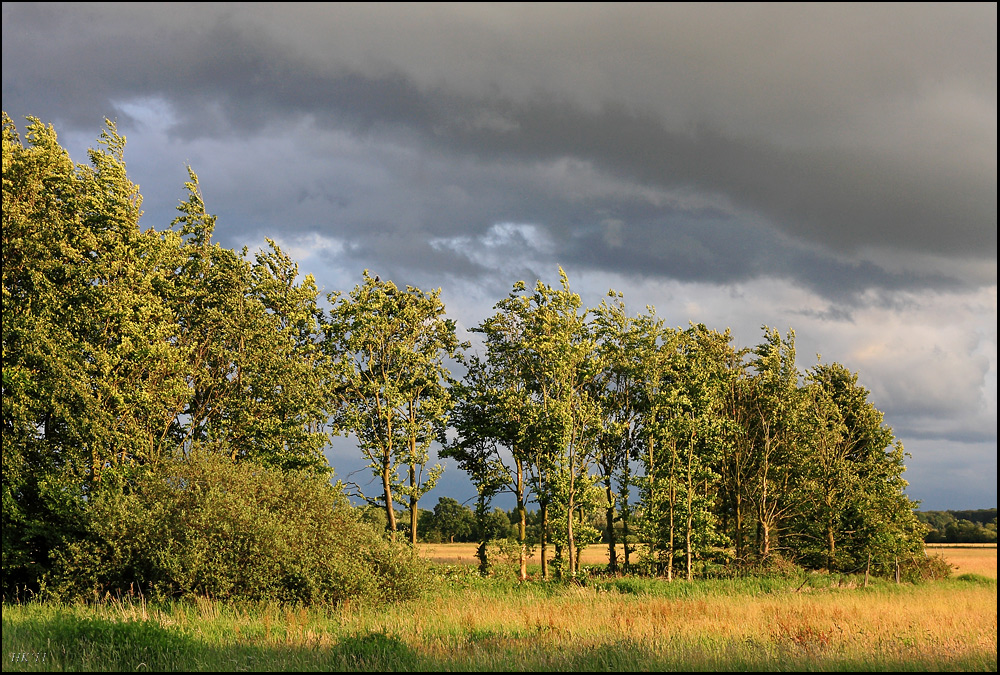 Dunkle Wolken