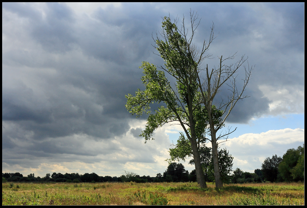 Dunkle Wolken