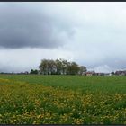 Dunkle Wolken am 1.Mai