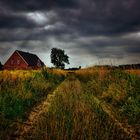 Dunkle Wolken am Abend