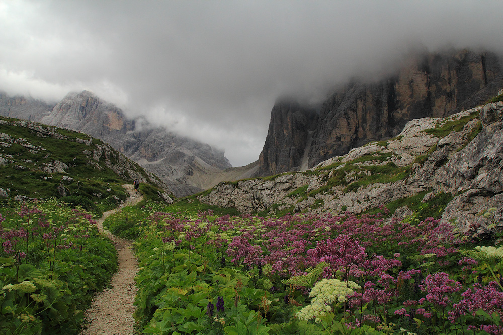 Dunkle Wolken ....