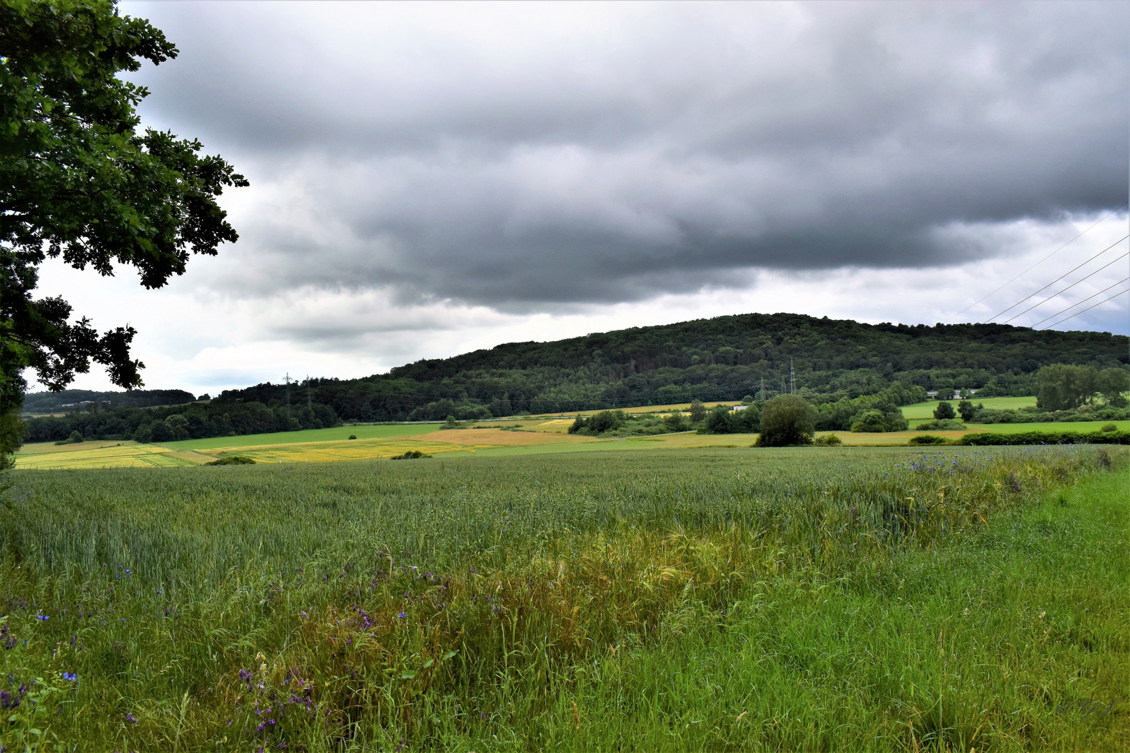 Dunkle Wolken.......