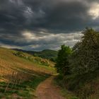 Dunkle Wolken liegen über dem Weinberg