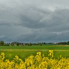 Dunkle Wolken über dem Raps