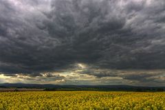 dunkle Wolken über dem Raps