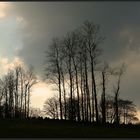 Dunkle Wolken über dem Westwall