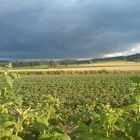 Dunkle Wolken über sonnigem Feld