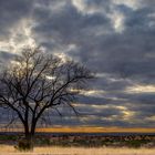 Dunkle Wolken über Texas