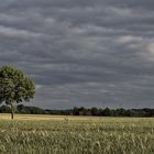 Dunkle Wolken über Uenzen