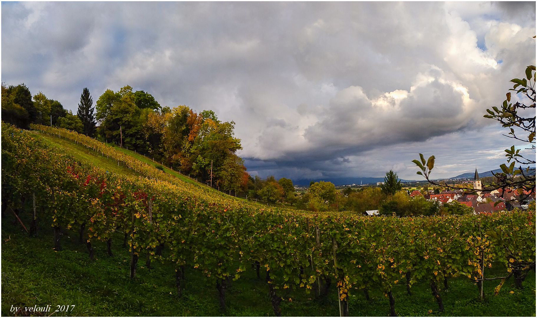 Dunkle Wolken überm Weinberg