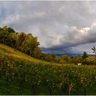 Dunkle Wolken überm Weinberg