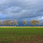 Dunkle Wolken und ein kurzer Sonnenstrahl