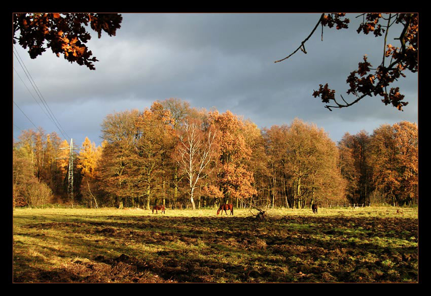 Dunkle Wolken und Sonnenschein