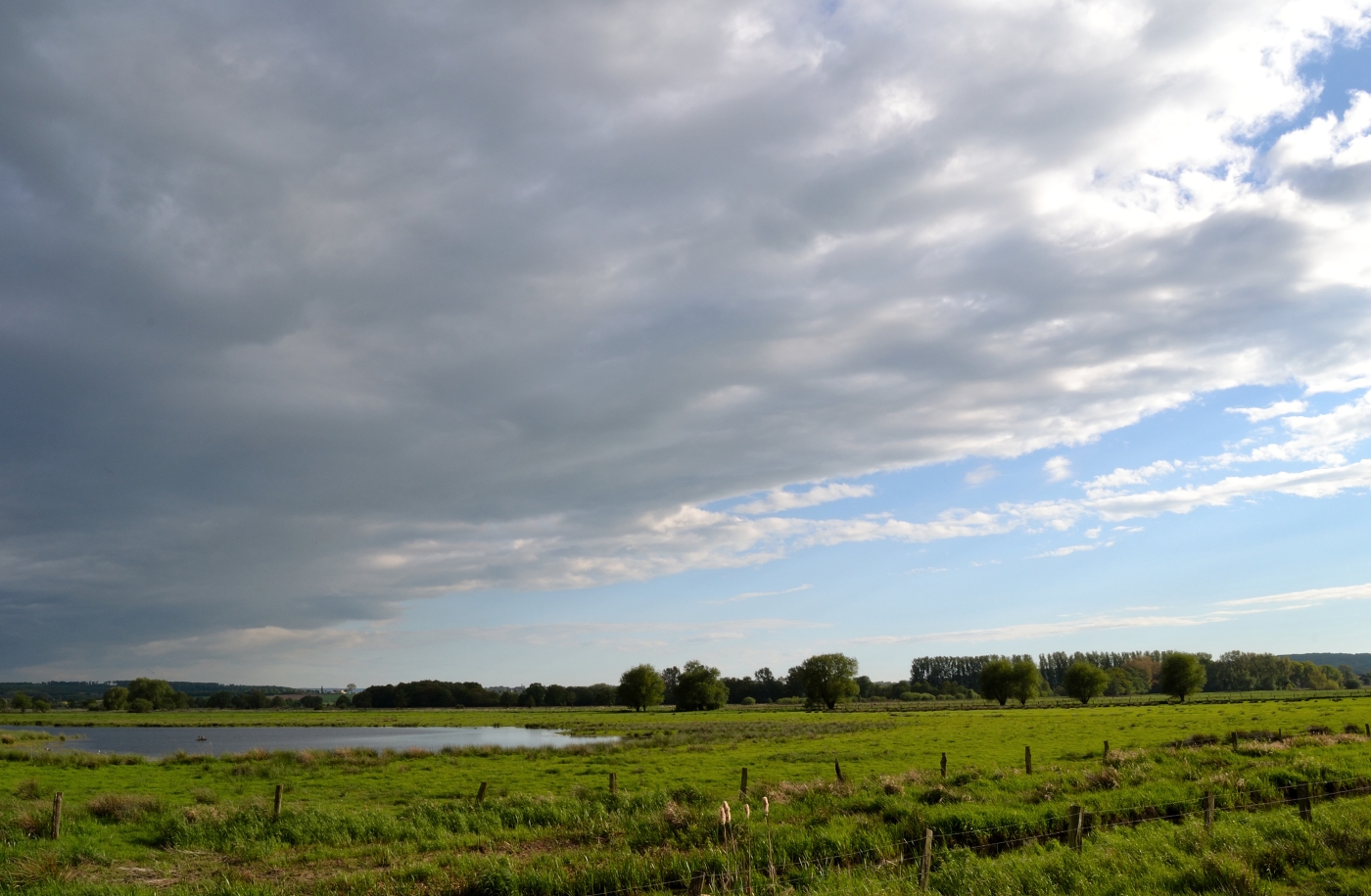 dunkle Wolken ziehen auf