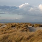 Dunkle Wolken ziehen auf