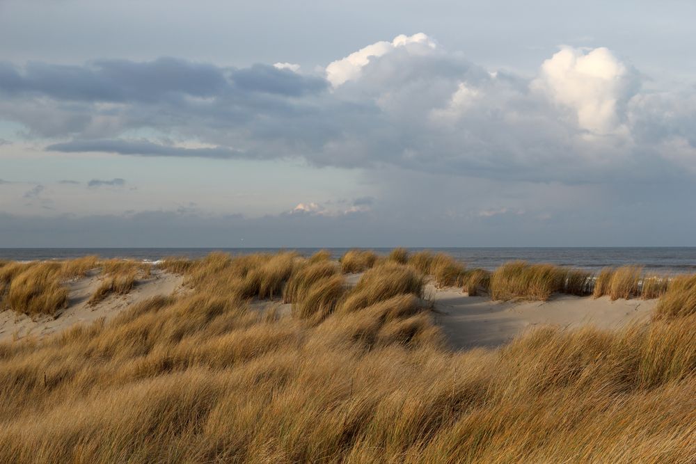 Dunkle Wolken ziehen auf