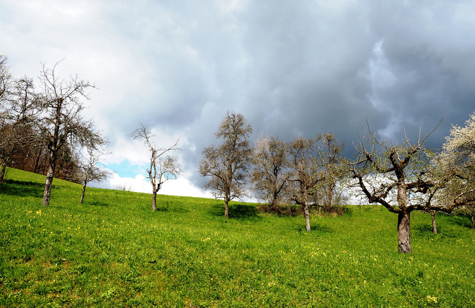 Dunkle Wolken ziehen auf