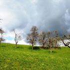 Dunkle Wolken ziehen auf