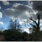 Dunkle Wolken ziehen auf